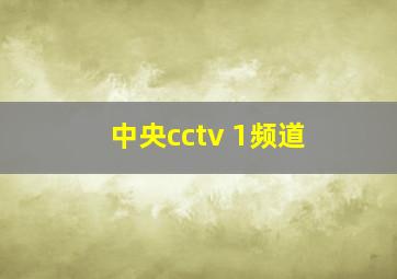 中央cctv 1频道